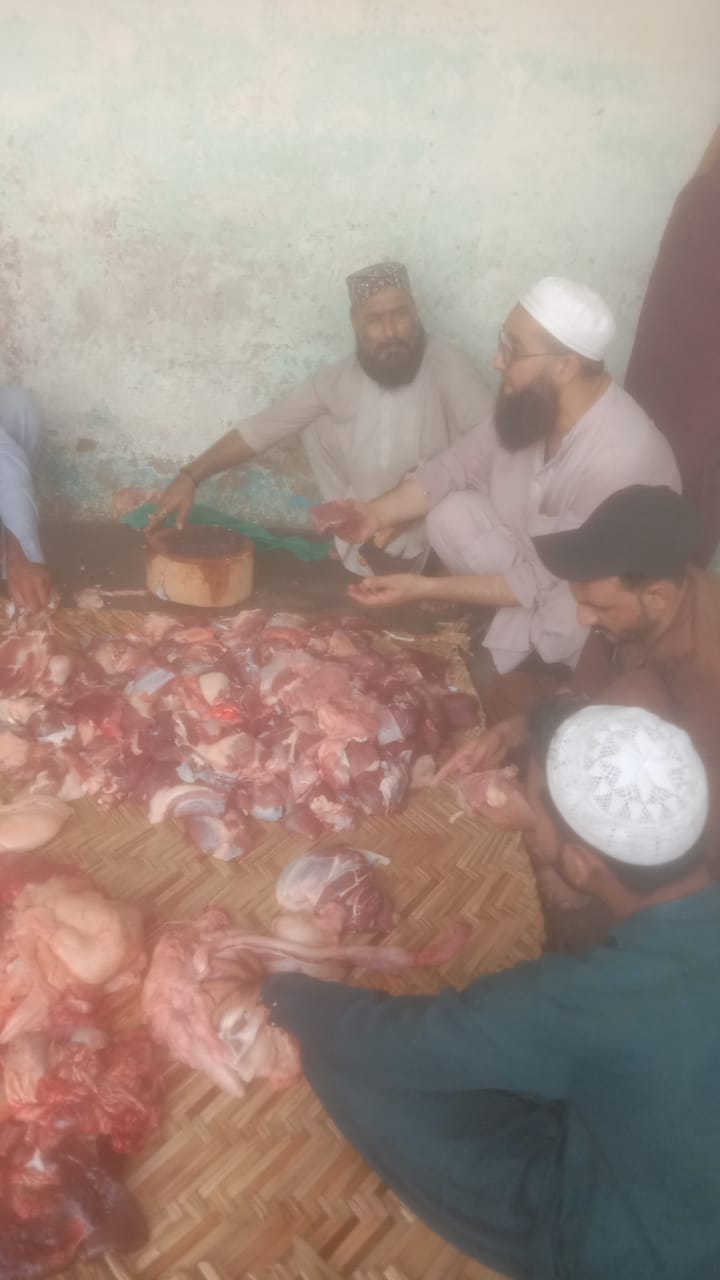 Impact Photo other-31